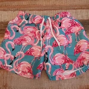 Chubbies Swimwear